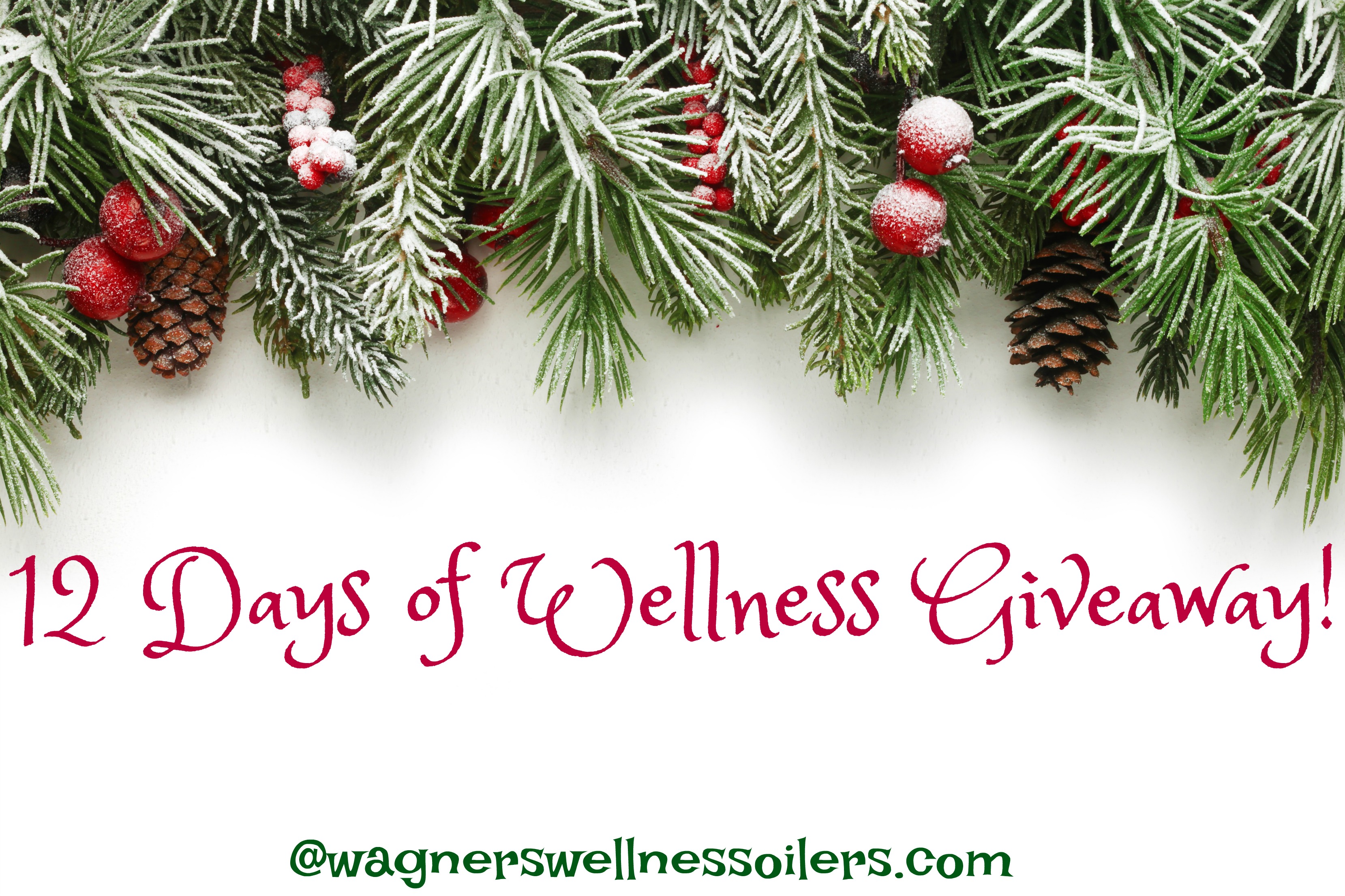 12 Days of Wellness Giveaway